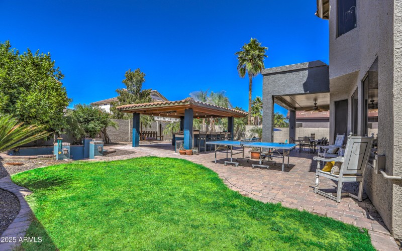 Backyard Grass