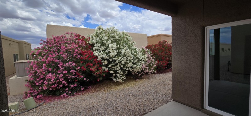 Back Yard from Patio