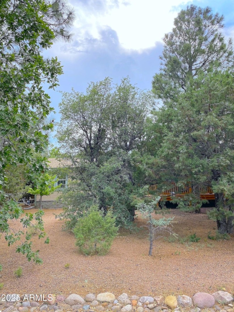 View of front yard! Private!