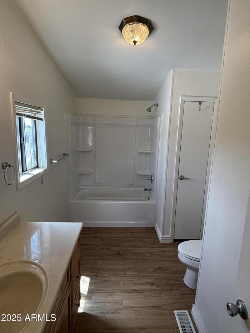 22875 Cactus Wren 2-3