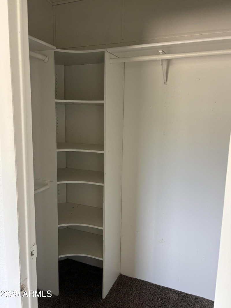 22875 Cactus Wren 2-4