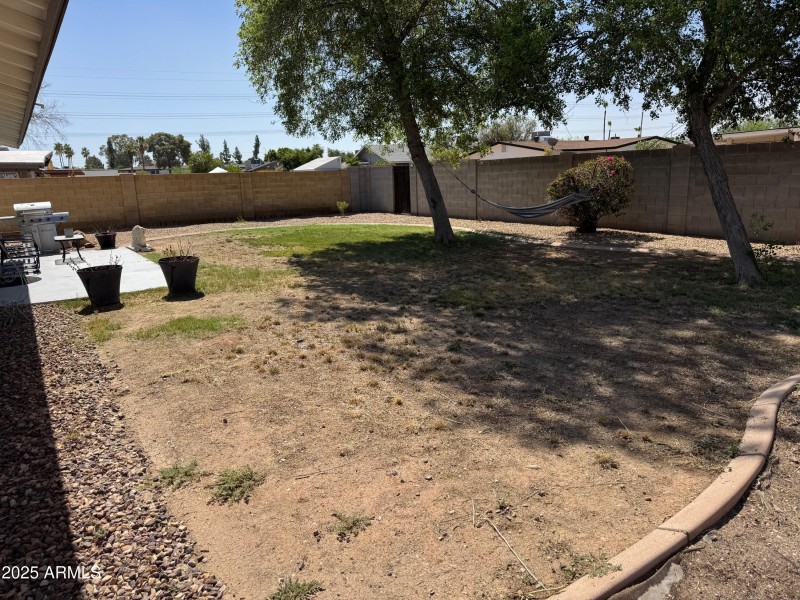 Large backyard