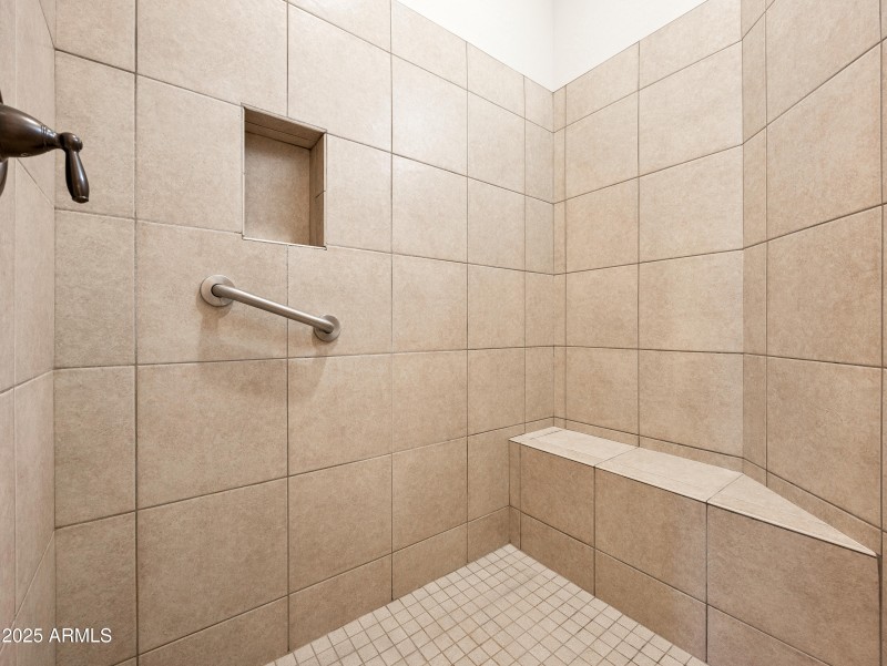 Primary Shower