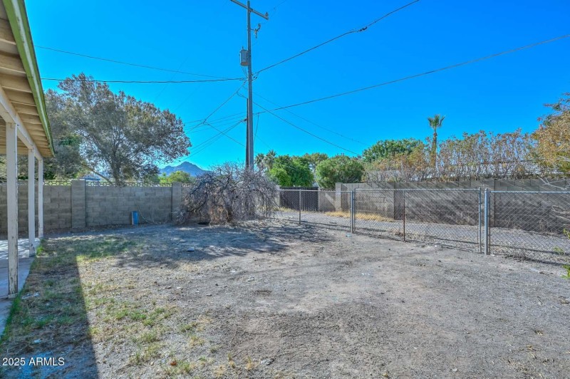 Backyard-Mountain View