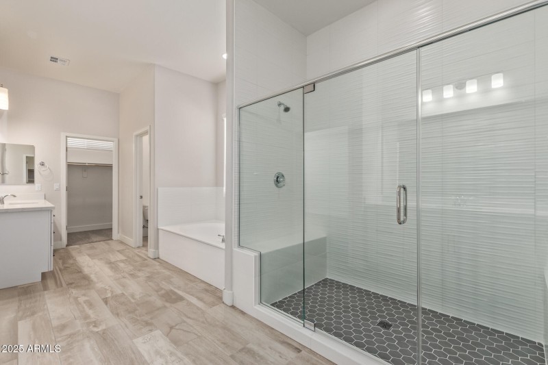 Owner's Bath