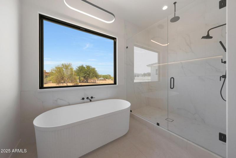 Soaking Tub and Walk-In Shower