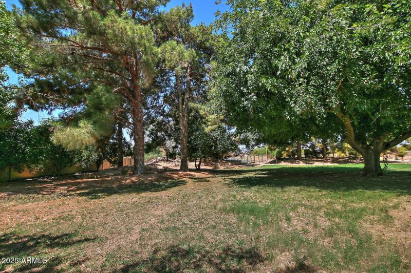 Mature Landscaping-026-028-1500x1000