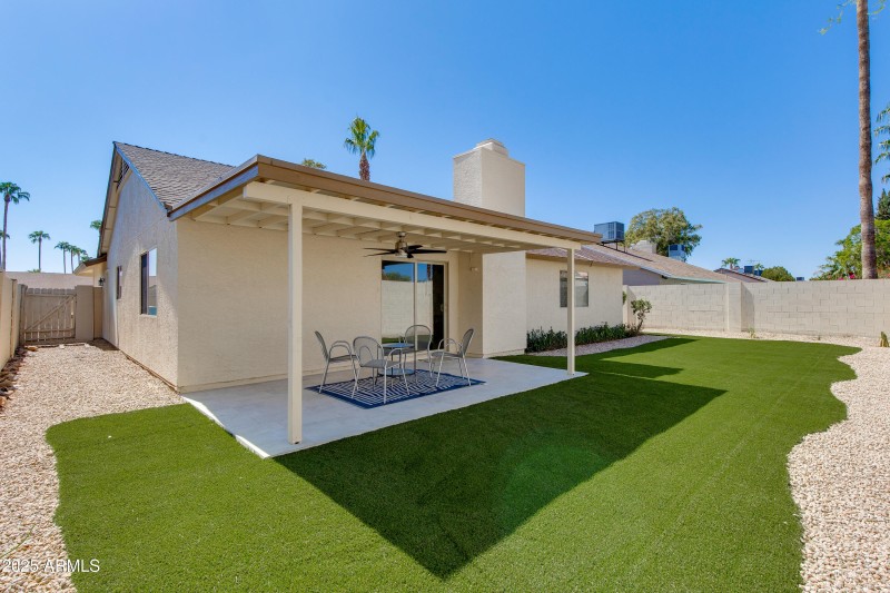 Backyard