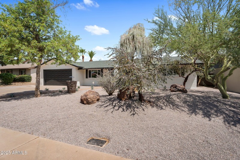 3-web-or-mls-Marigold-3