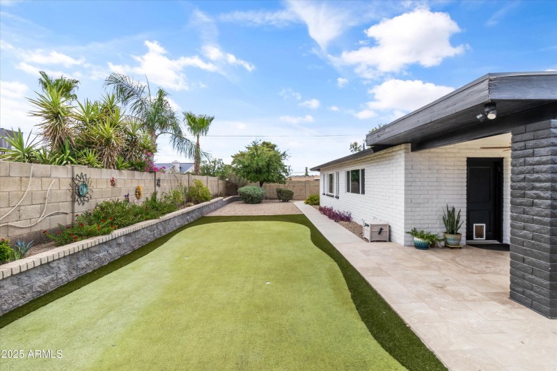backyard