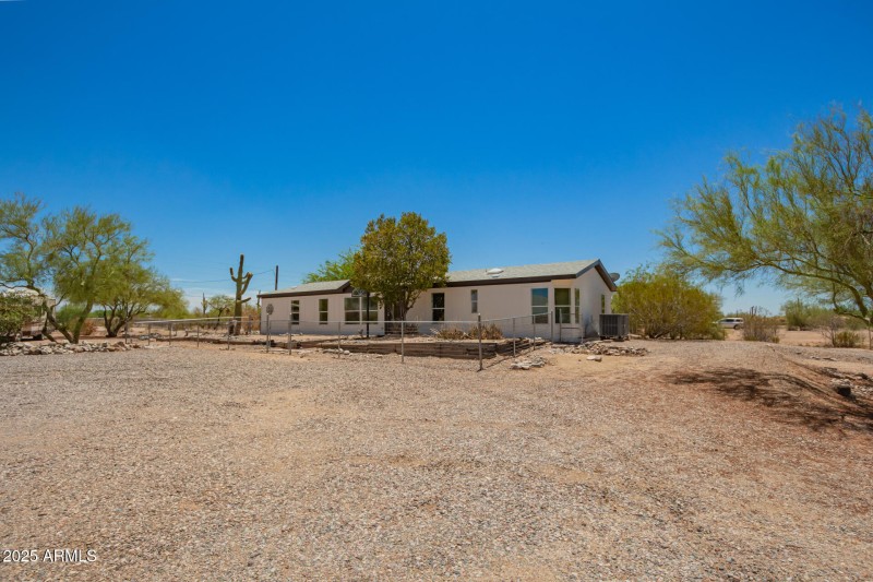 05 - Palo Verde