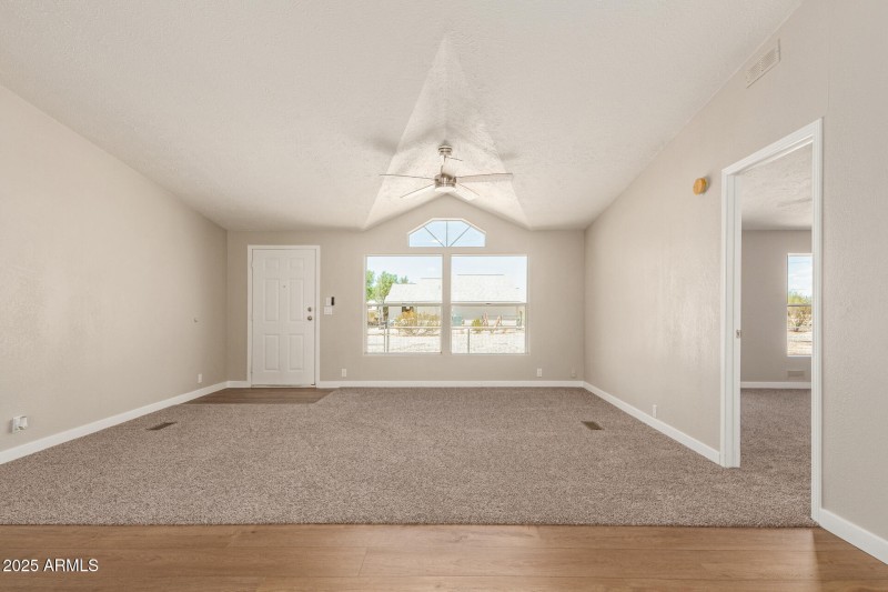 10 - Palo Verde