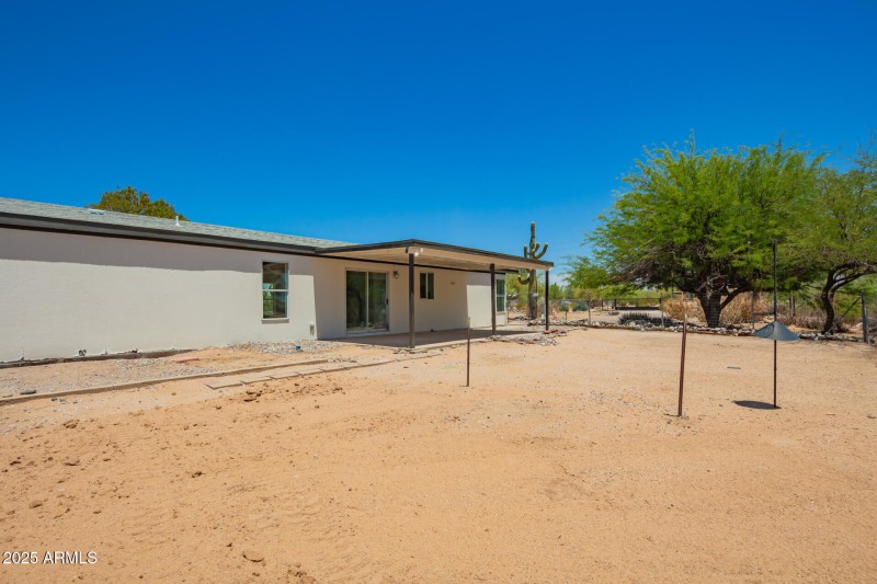 37 - Palo Verde