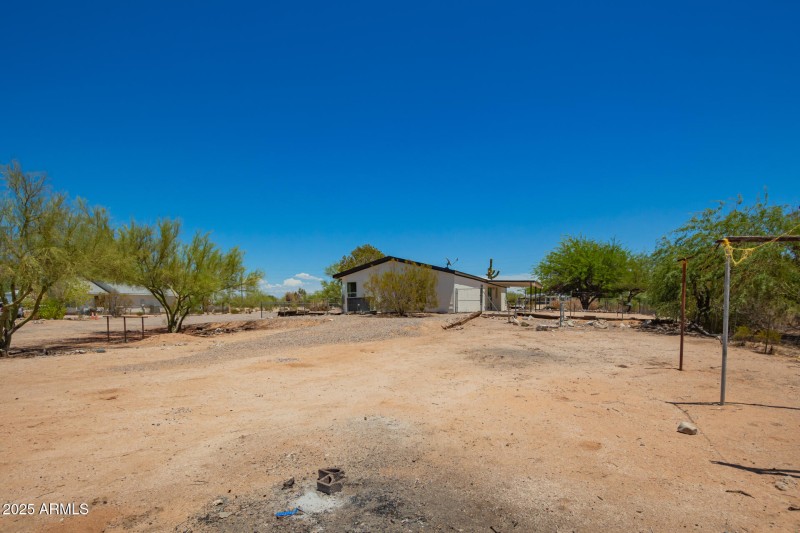 39 - Palo Verde
