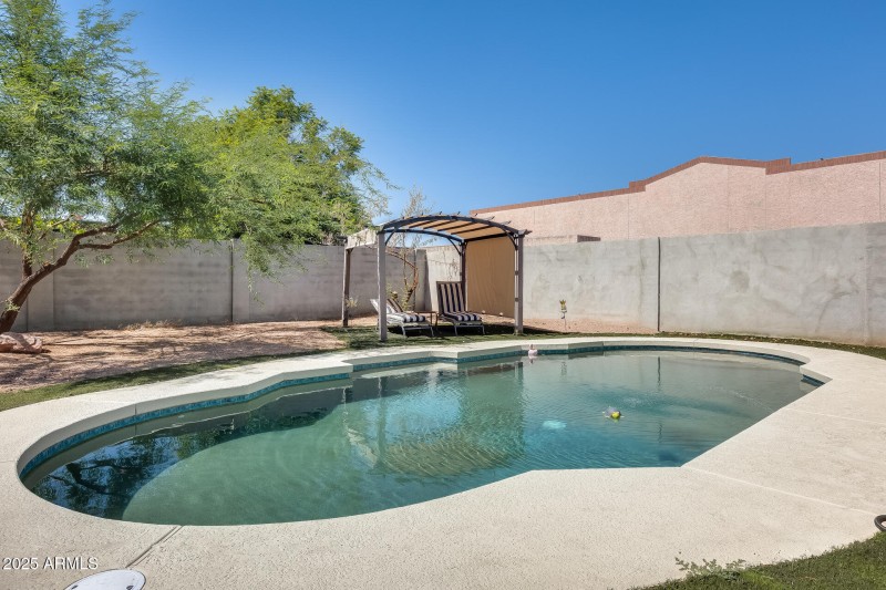 Pool / Backyard