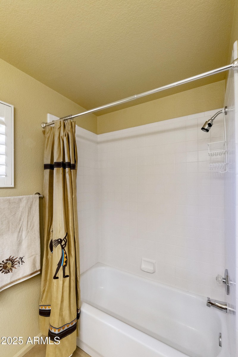 Guest Bath shower