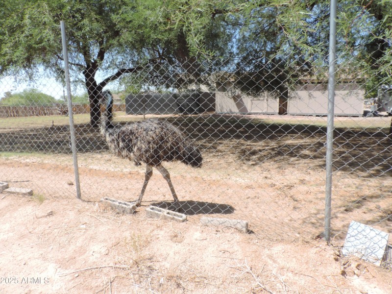 The Griffin Way 042
