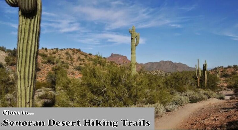 SonoranTrails
