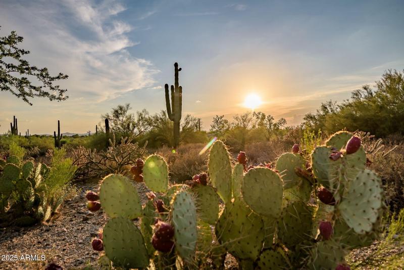 Picturesque Settings