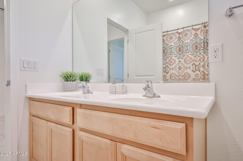 Hall bathroom / dbl sinks