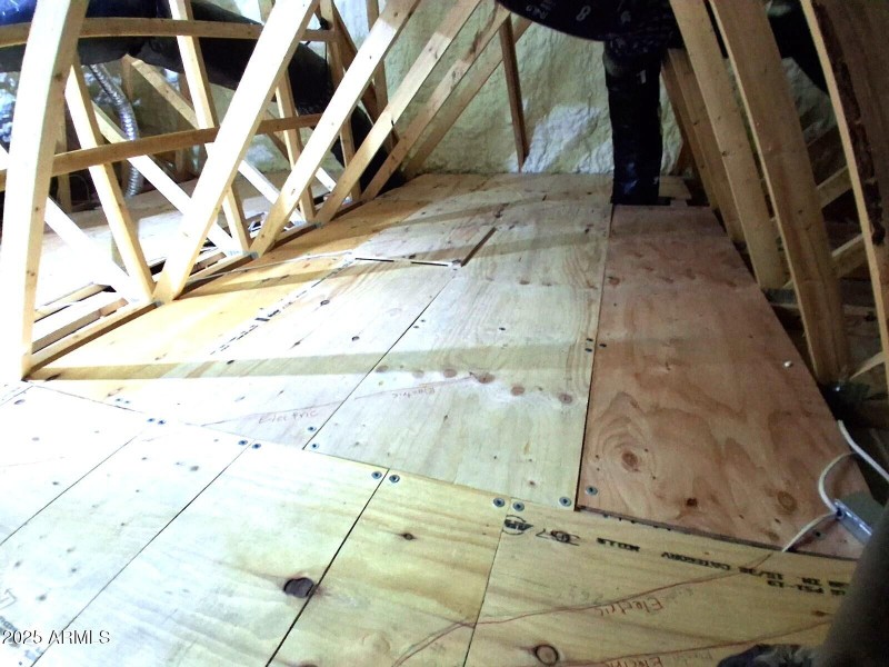 Attic Loft for Storage (3)