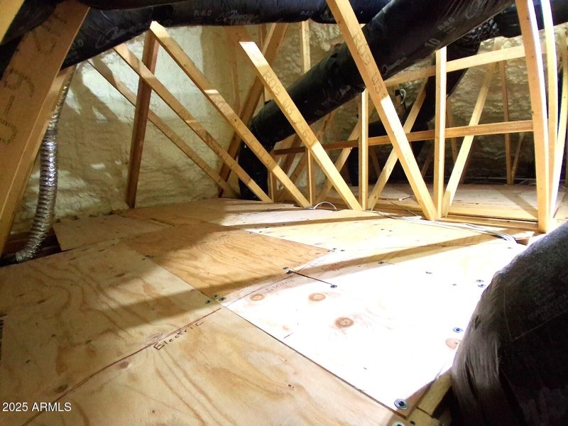 Attic Loft for Storage (2)