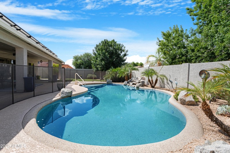 Backyard 2