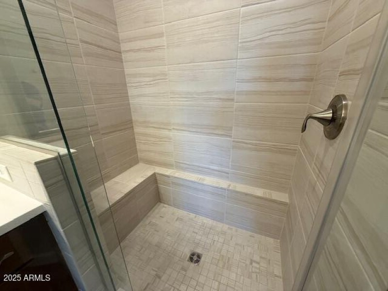 Primary Shower