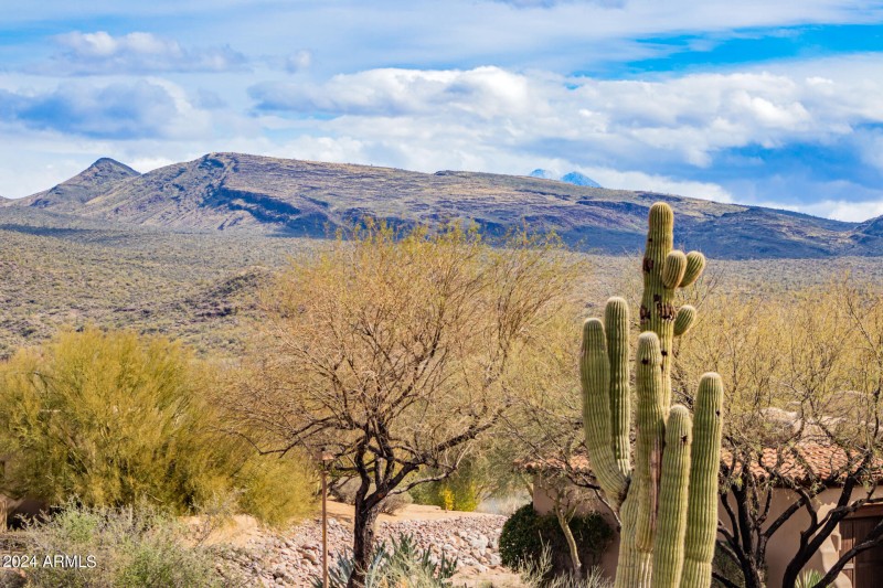 47-Tonto