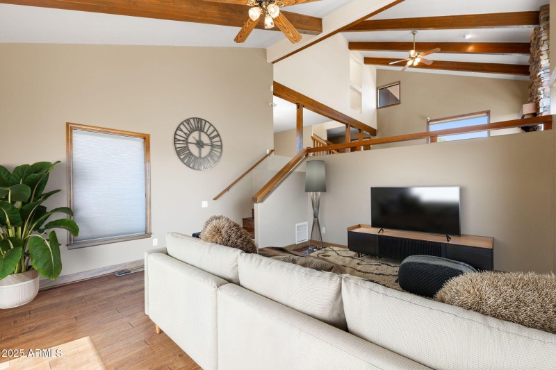 Family Room (VS) / Den
