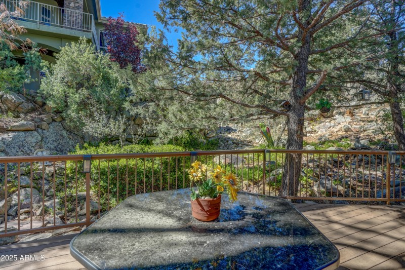 Back Patio 3