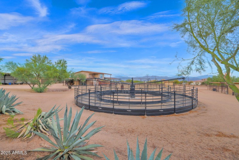 Electric 6 horse walker