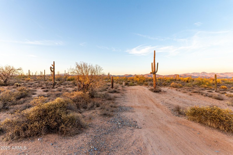 2 Acres for Customization