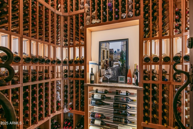 019_Temperature Controlled Wine