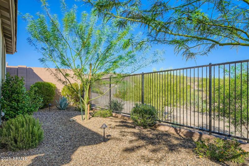 31945 N 123rd Lane - Web Quality - 028 -