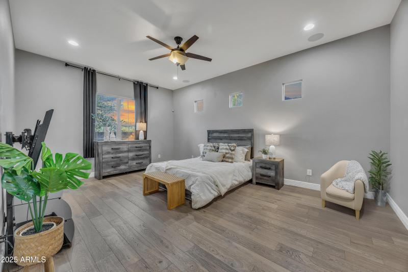 Primary with chair and plant