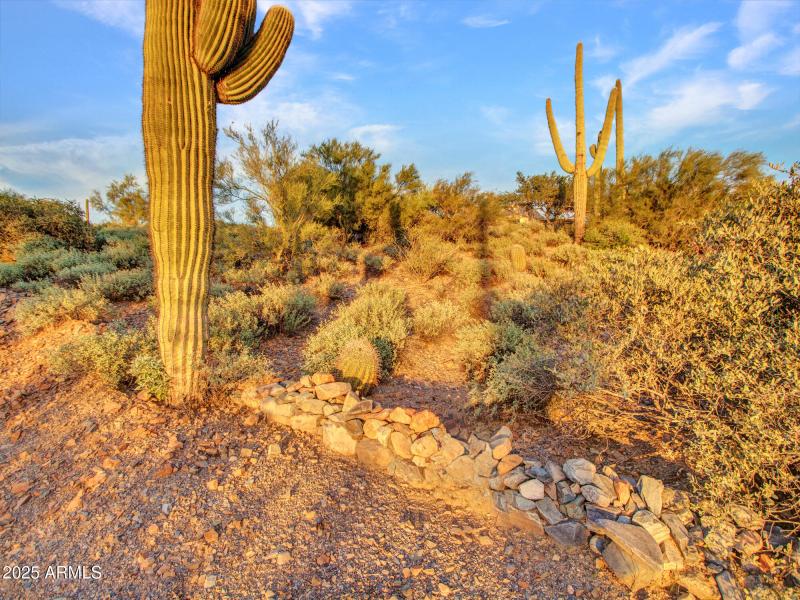 26-Lower-Drive-way-(3)