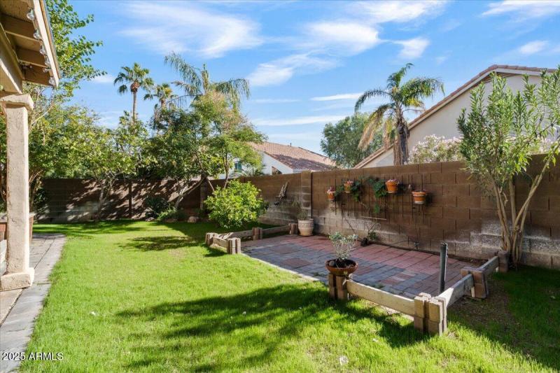 back yard other shot