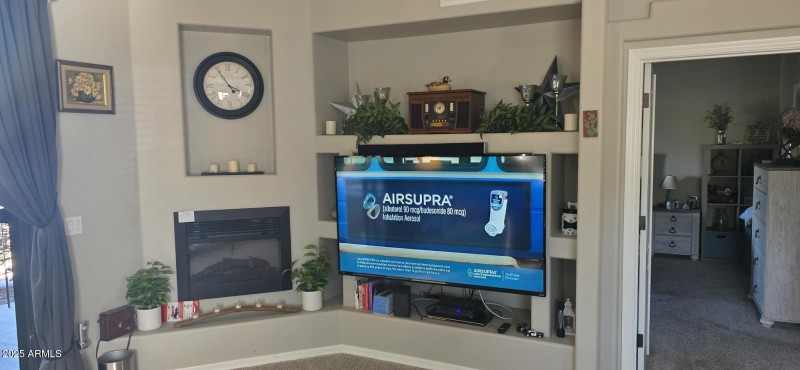 Fireplace and entertainment area