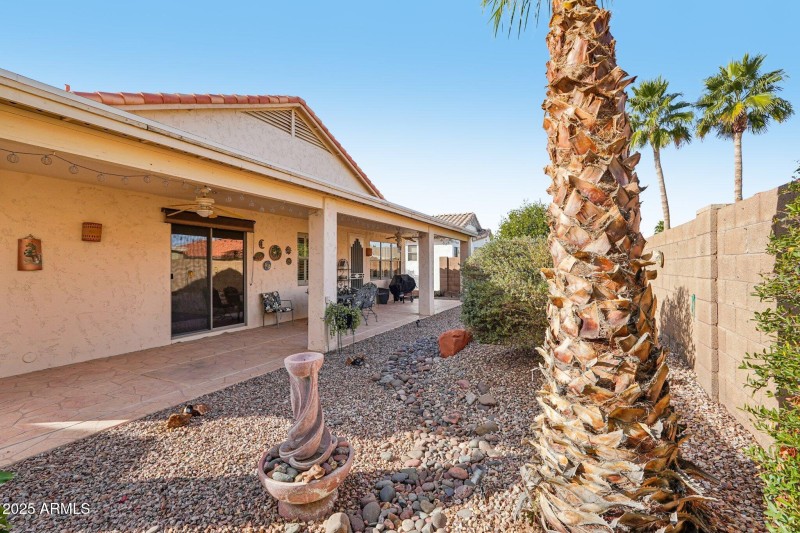 Rear of Home looking North