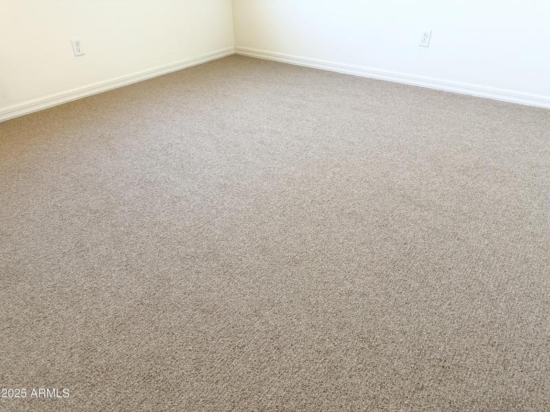 New Carpet