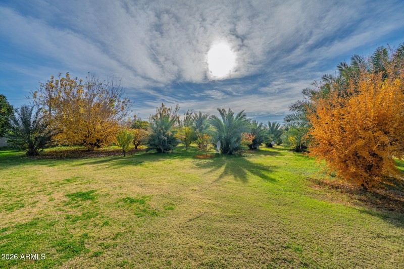 29-web-or-mls-13839 E Morgan Drvie - Mai