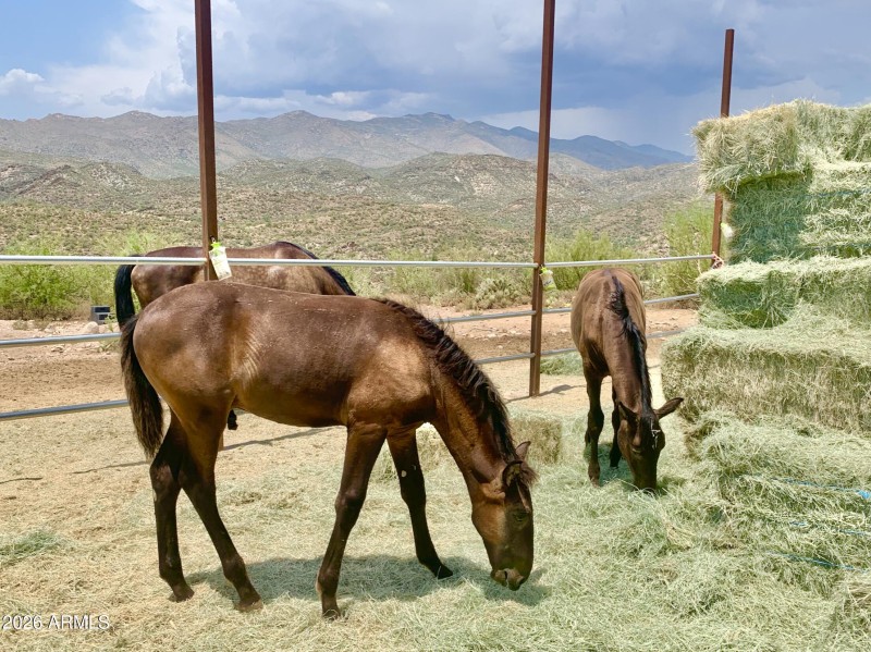 53-print-S April Dr-0601-902