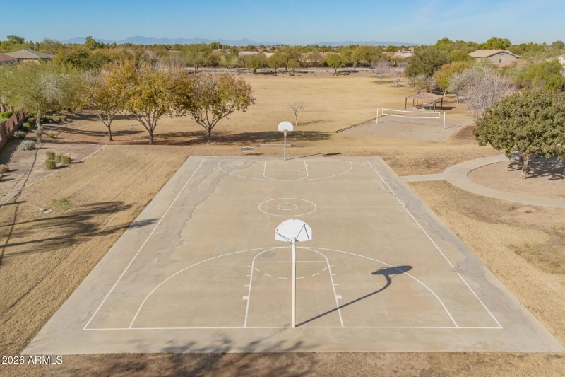 15 - Purple Sage Drone