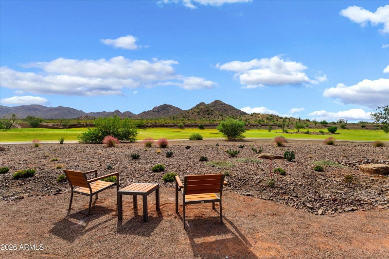 79-Saguaro-Sun City Festival (9)