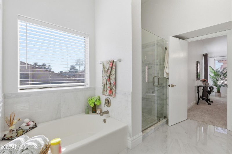 Main Tub & separate shower