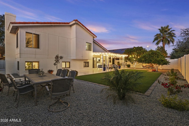 Your mini paradise back yard