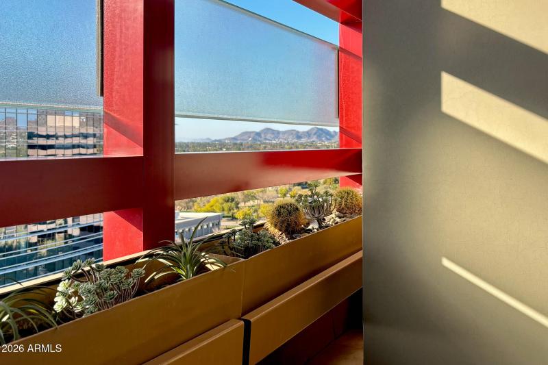 29) 66315-69505c6cea9c8