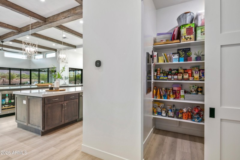 029_Barn Door Entry Pantry