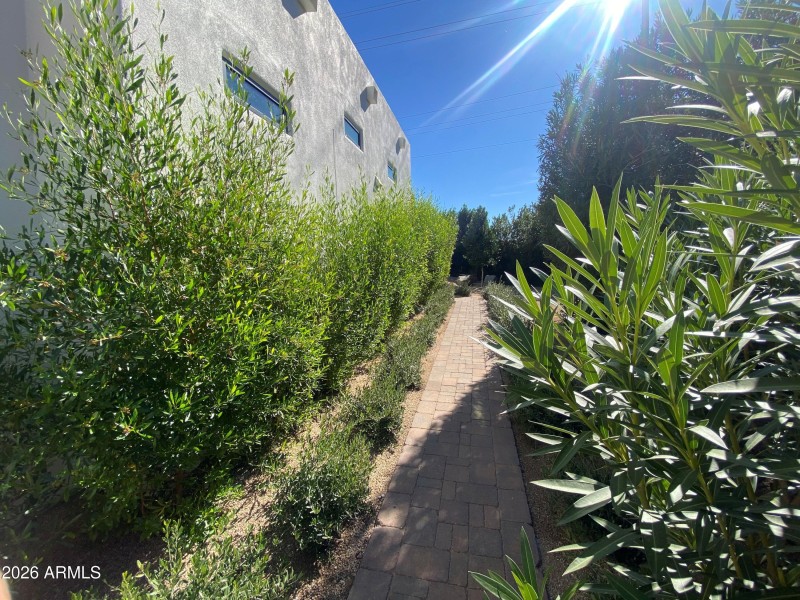 Spacious West side yard and entrance